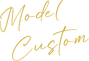 Model Custom