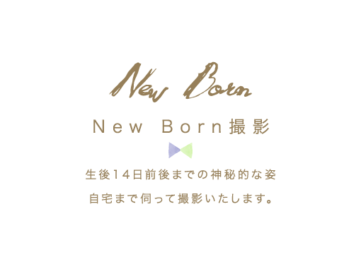 NewBorn撮影